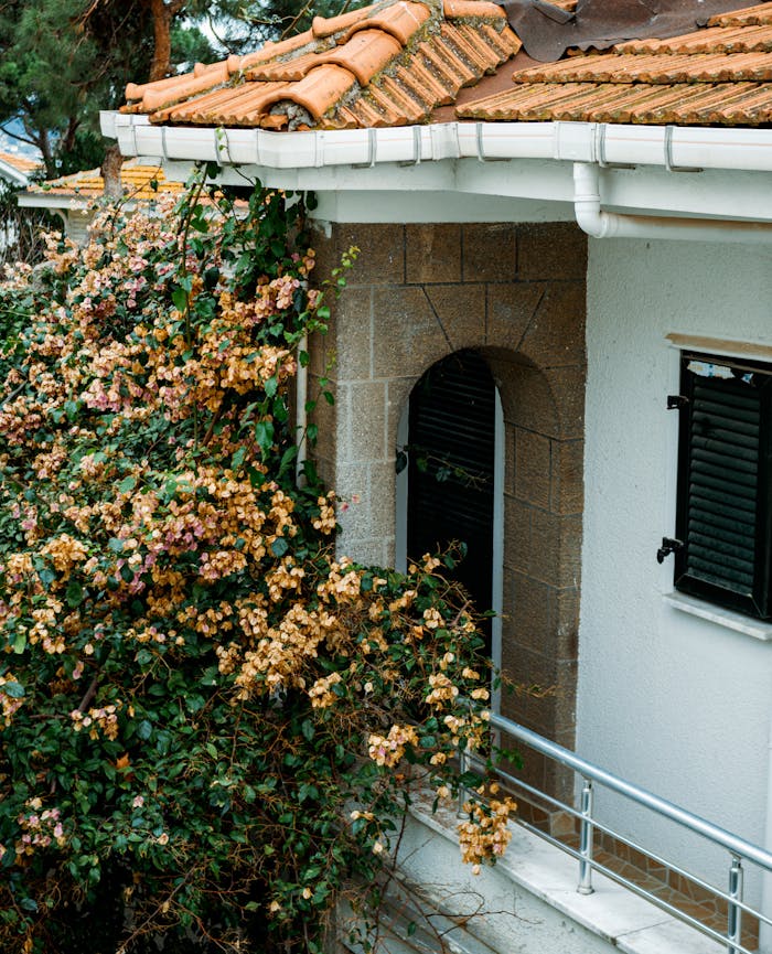 House facade with blooming vines, arched doorway, and orange roof tiles showcasing spring beauty.